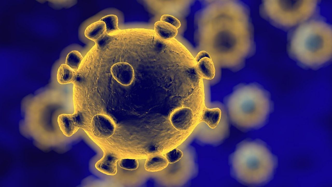 Van 213 muertes por coronavirus en China; ya son más de 9 mil contagios