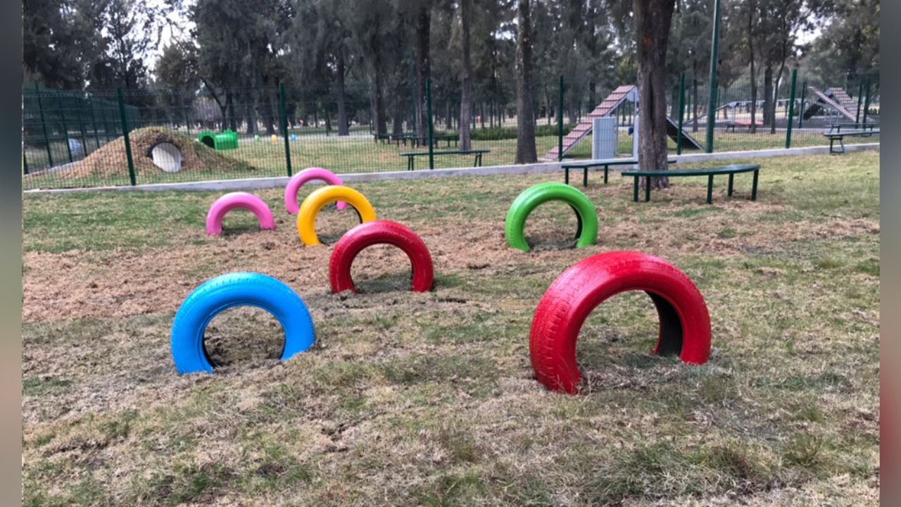 ¡Increíble! Se confirma apertura de parque para perros en la CDMX