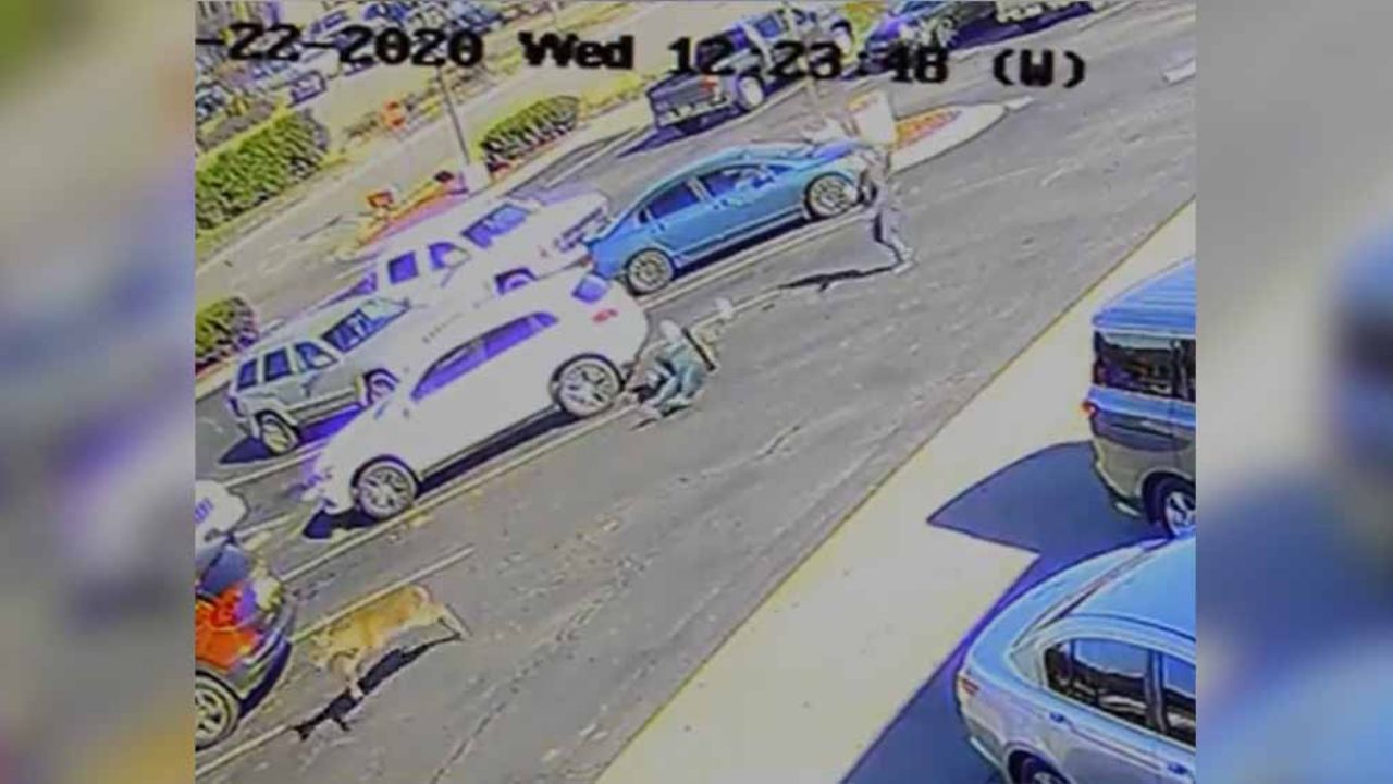 VIDEO: ¡Salió de la nada! Ciervo embiste a hombre que disfrutaba de un refresco