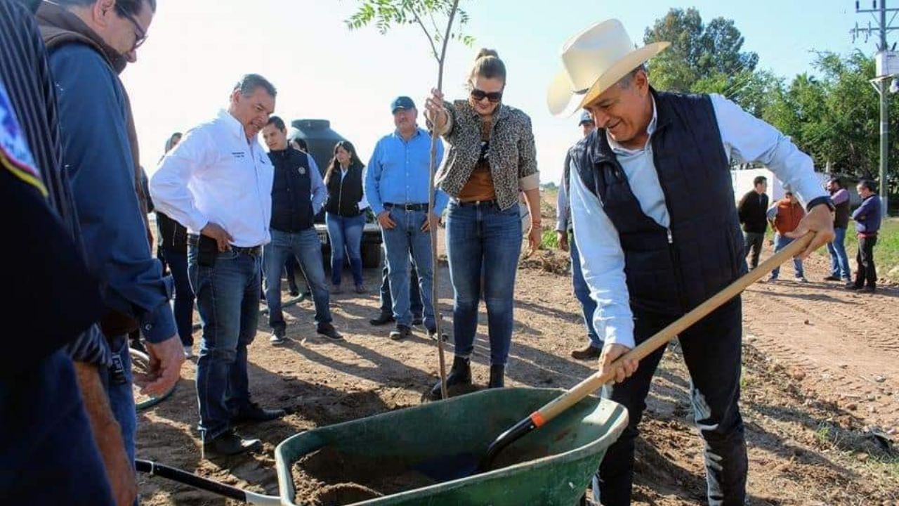 En Huatabampo reforestan el camino que conduce a la zona de Yavaros