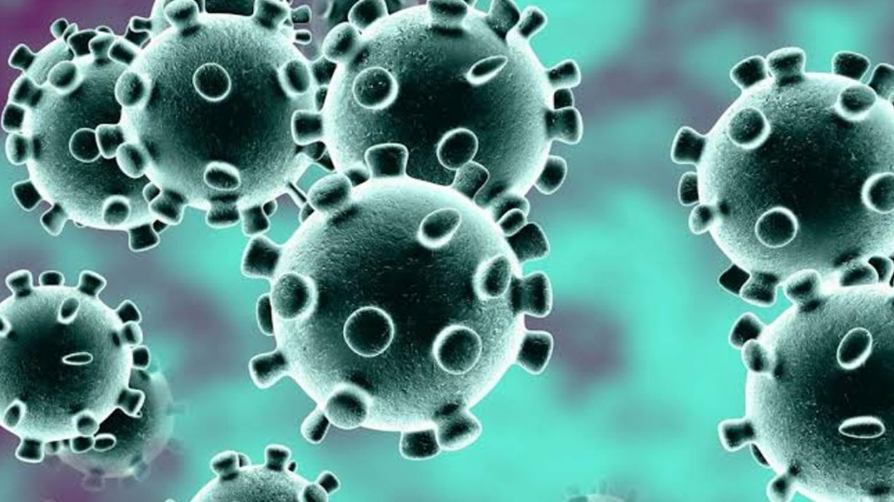 Se encienden las alertas: Coronavirus podría llegar a Honduras y Paraguay
