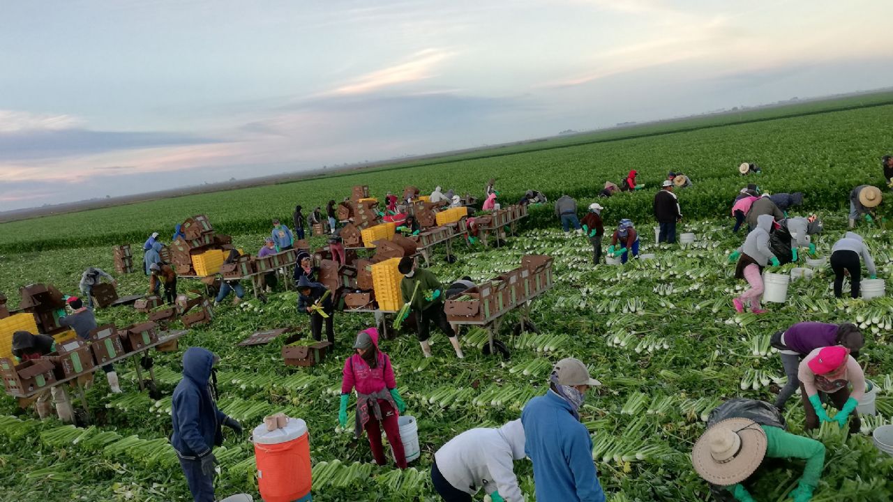 México sin riesgos en el mercado por acuerdo entre Estados Unidos y China