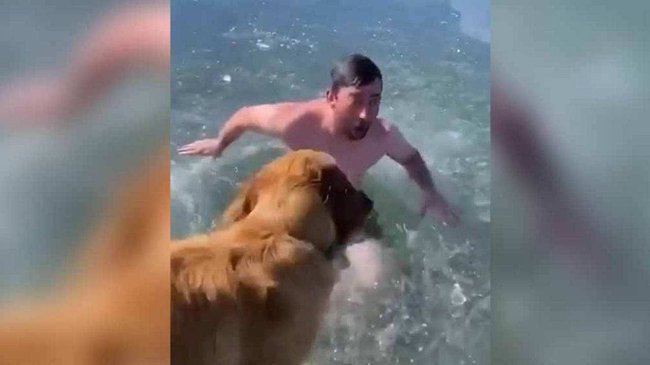 VIDEO: Reto de Tik Tok casi le cuesta la vida a joven; nadó en un lago congelado