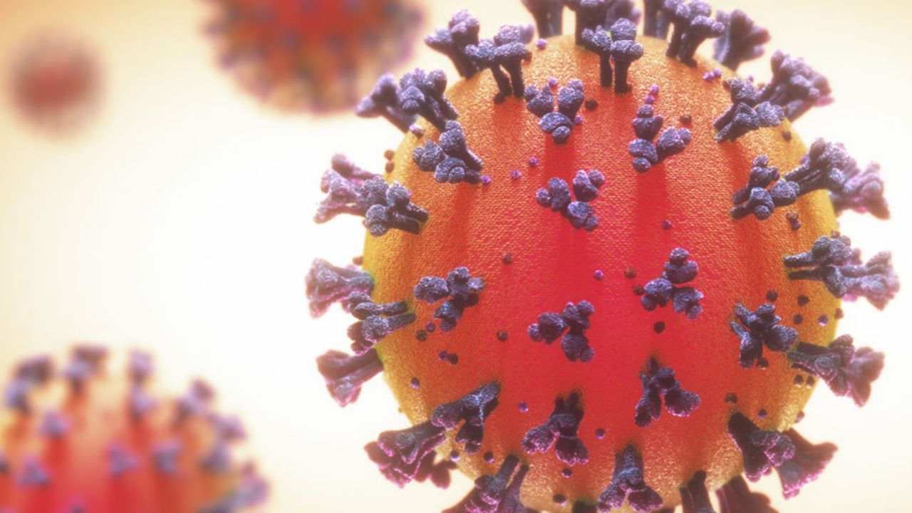 ¿Es el fin de la pandemia? Descubren la principal causa de los contagios por Covid-19