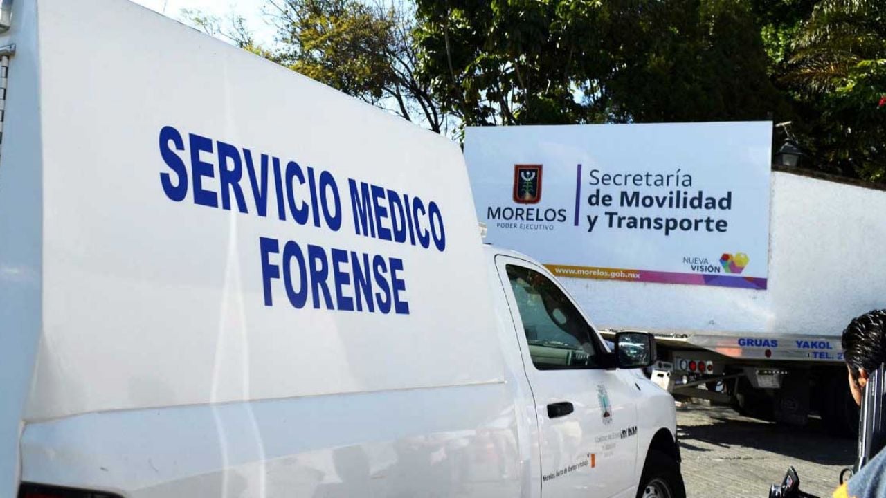 Encuentran a una pequeña de 5 años sin vida en un lote baldío