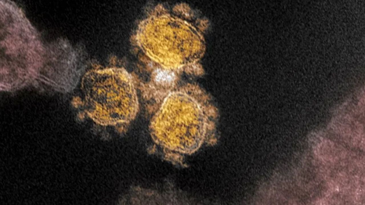Coronavirus en México: Autoridades confirman cuarto caso de Covid-19
