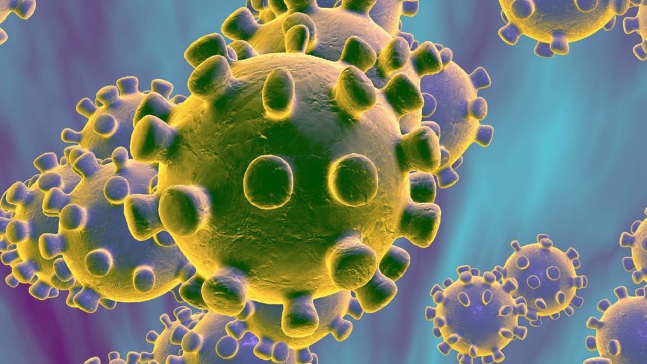 Salud desmiente casos de coronavirus en Sonora; piden no difundir ‘fake news’