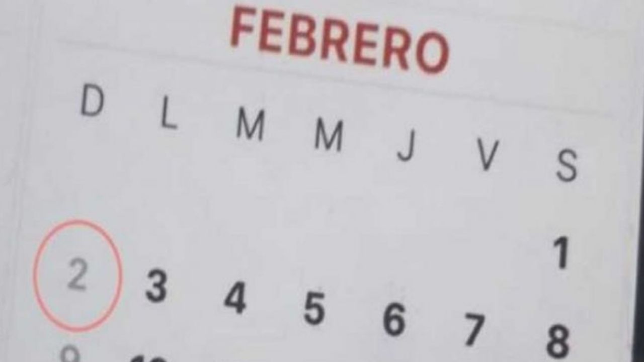 Día palíndromo: La fecha que no se repetirá hasta el próximo milenio