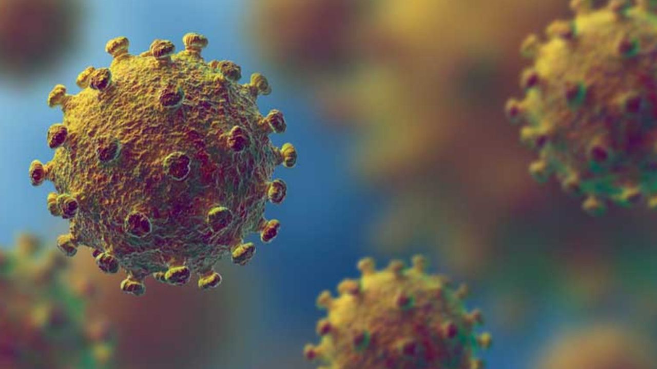 Revelan el perfil de las personas vulnerables a morir por coronavirus