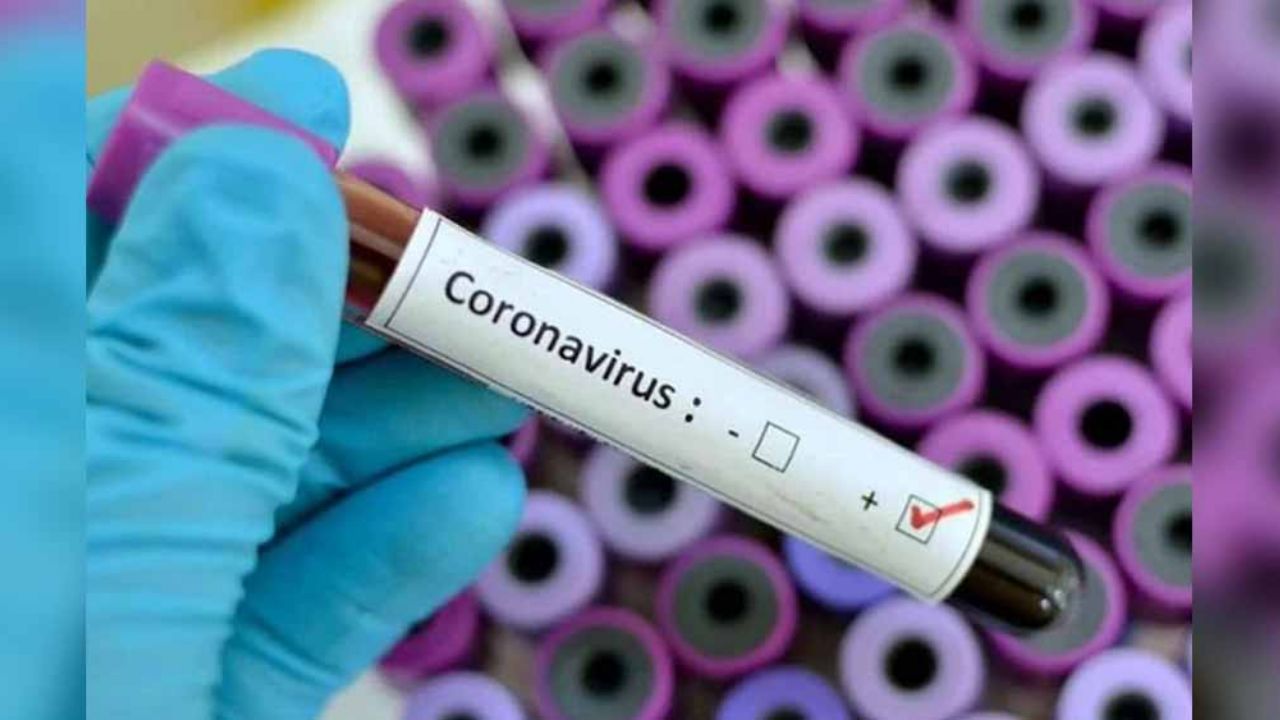 Sobrevivientes: Las primeras pacientes en sanar del coronavirus en Asia
