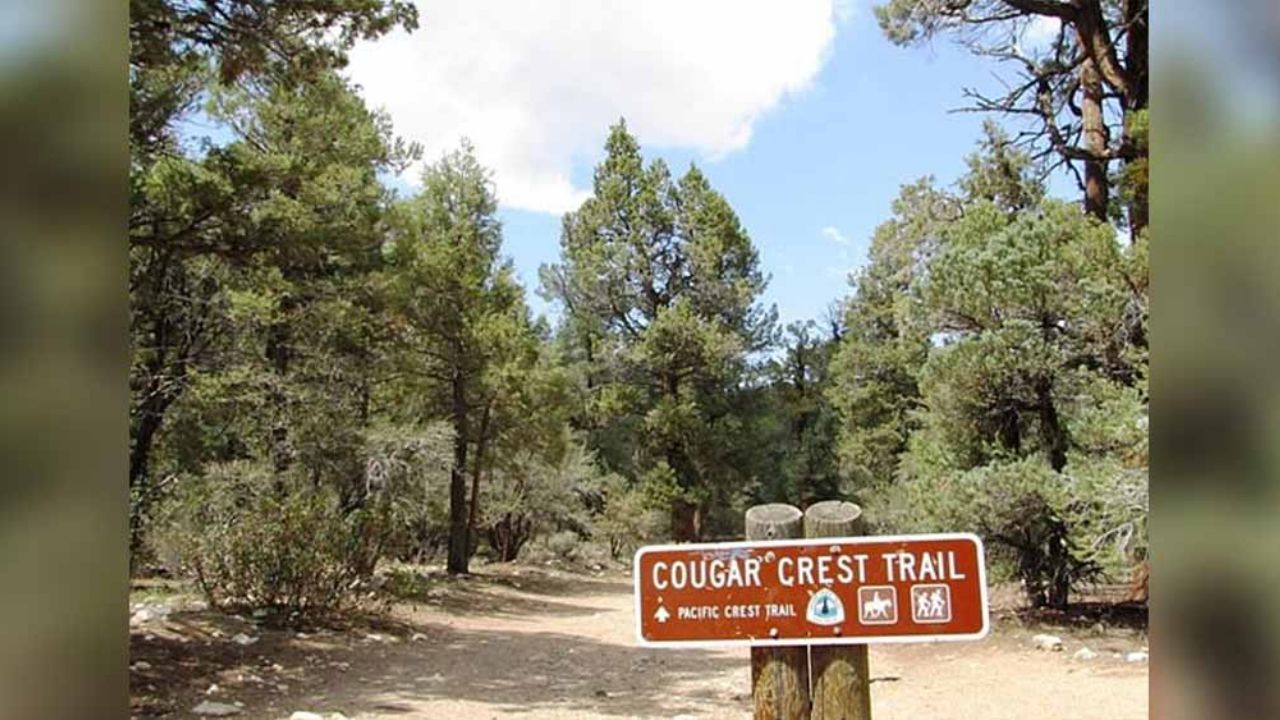 Hallan muerta a pareja en bosque; desapareció tras hacer senderismo