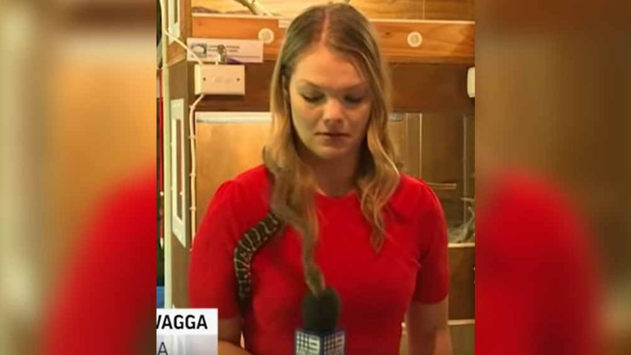 VIDEO: Serpiente enrollada en hombros de reportera lanza aterrador ataque