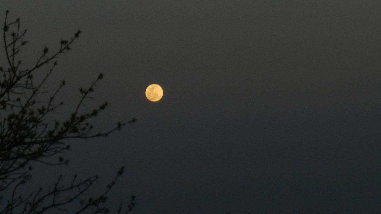 Internautas comparten sorprendentes imágenes de la ‘Súper Luna’