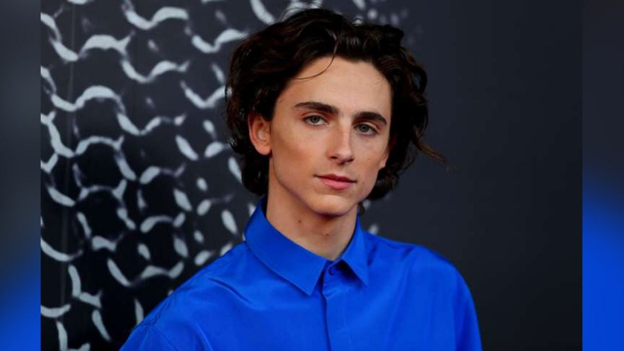 Timothée Chalamet aparece en póster de Wes Anderson en la tina y al desnudo