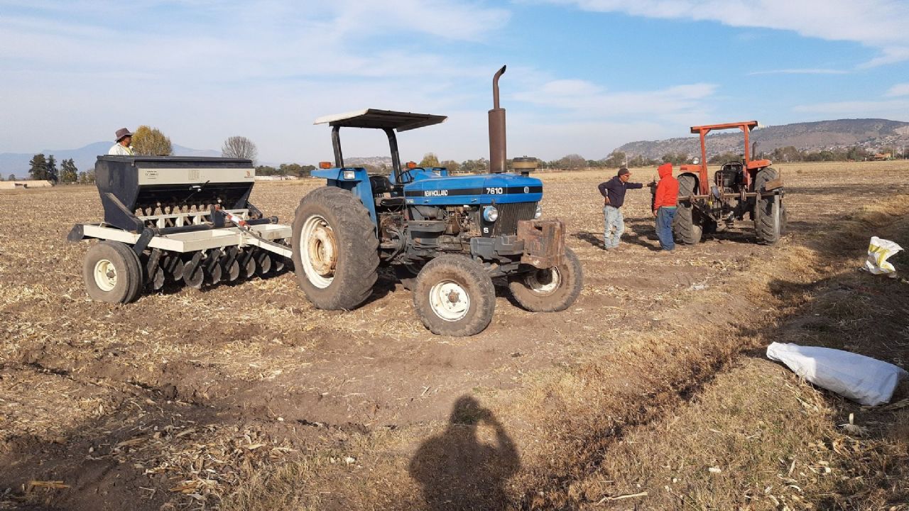 FAO promueve la tecnología agrícola digital en los campos de México