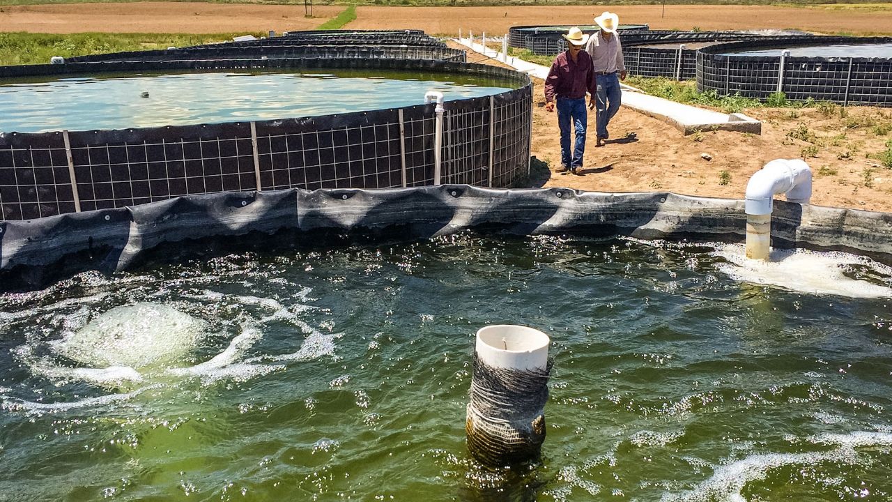 Sader y Conapesca apuestan por la acuacultura en zonas áridas de México