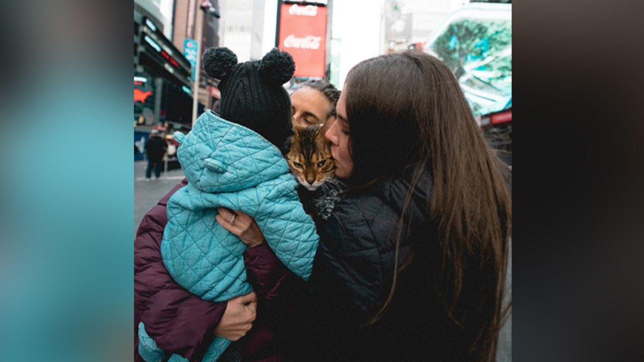 Joy Huerta inunda de ternura redes sociales con fiesta sorpresa a su gato