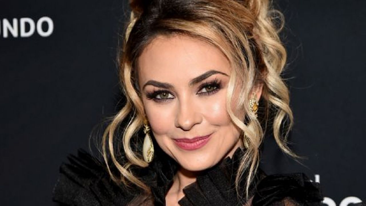 Aracely Arámbula alborota Instagram con atrevida foto en paños menores
