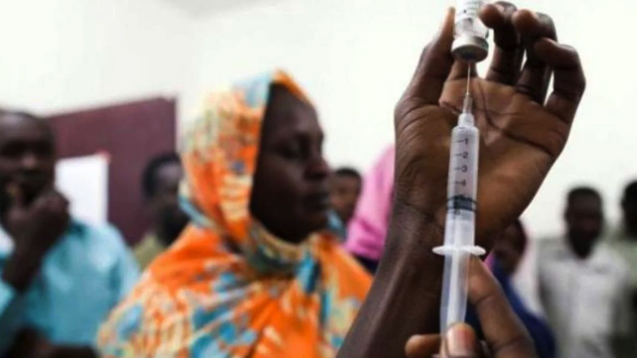 Alerta en Nigeria: Número de muertos por la Fiebre de Lassa se eleva a 104