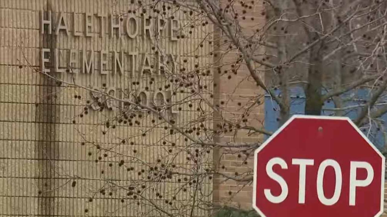 Acusan a maestra de hacer baile erótico frente a la clase y de besar a un alumno