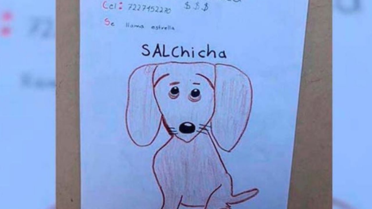 Niño busca recuperar a su perrita con carteles dibujados a mano