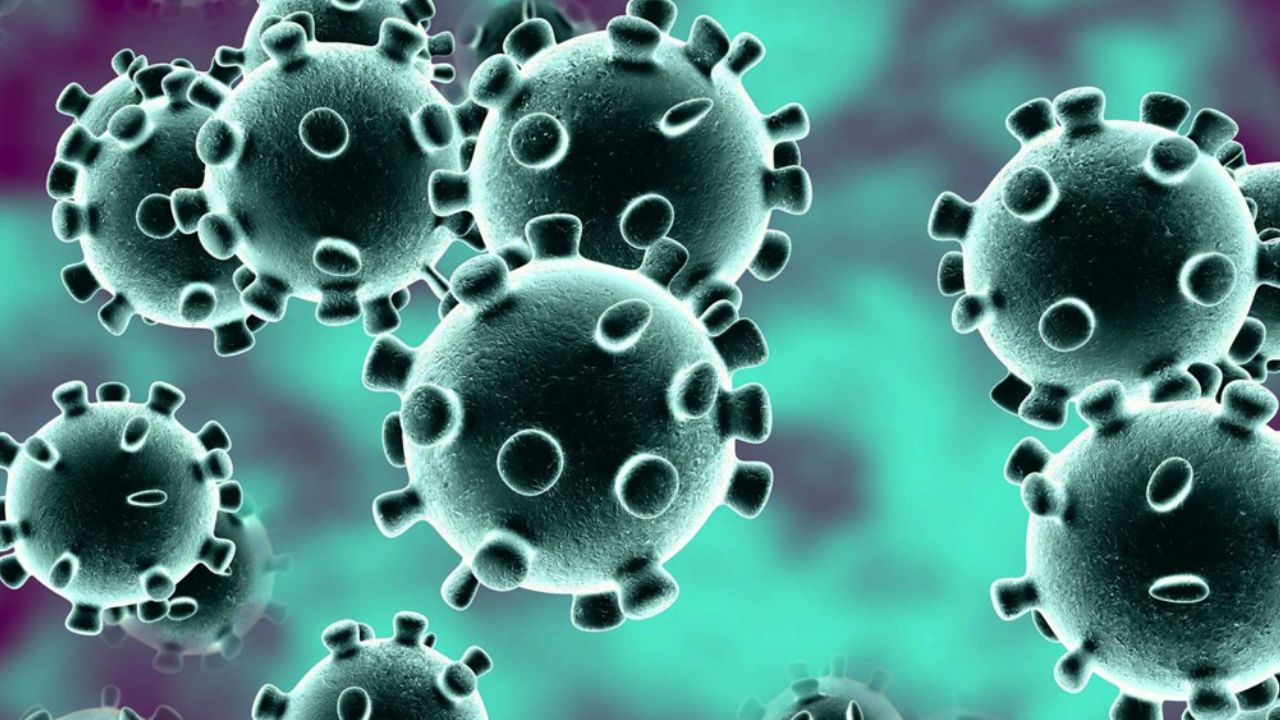 Coronavirus ya suma 67 mil casos en el mundo de personas infectadas