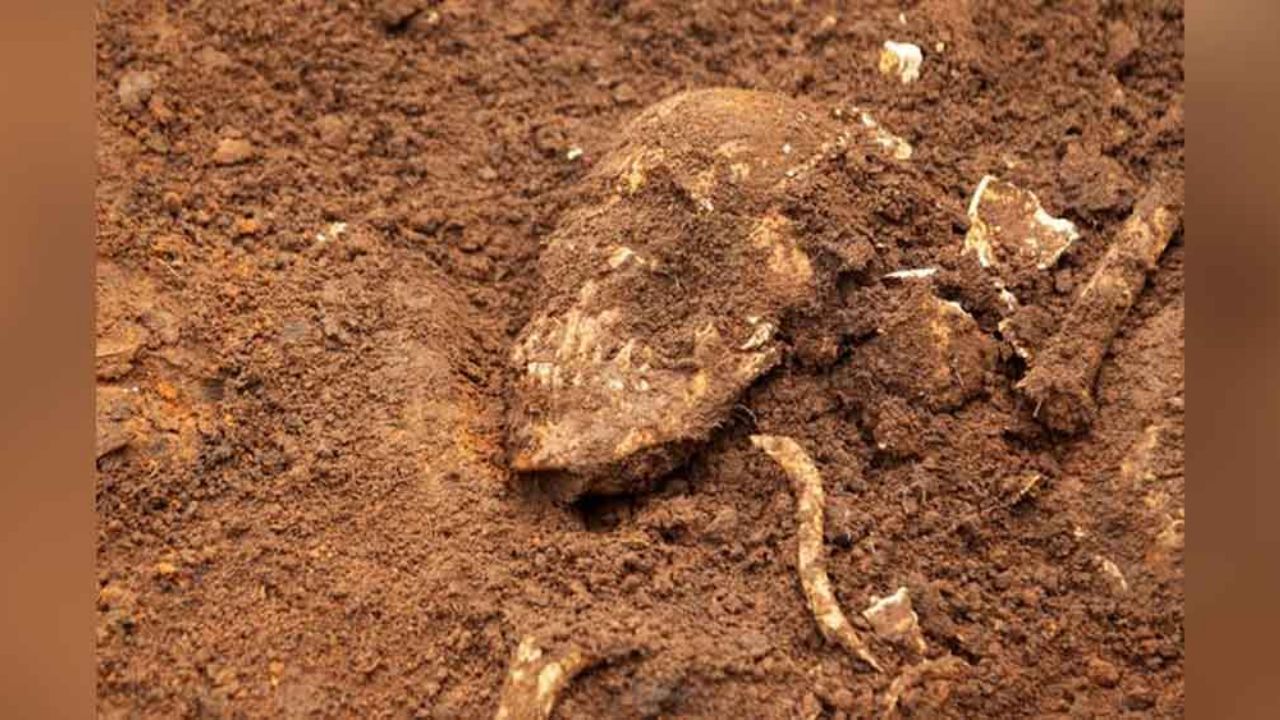 Más de seis mil cuerpos han sido encontrados en fosas de Burundi