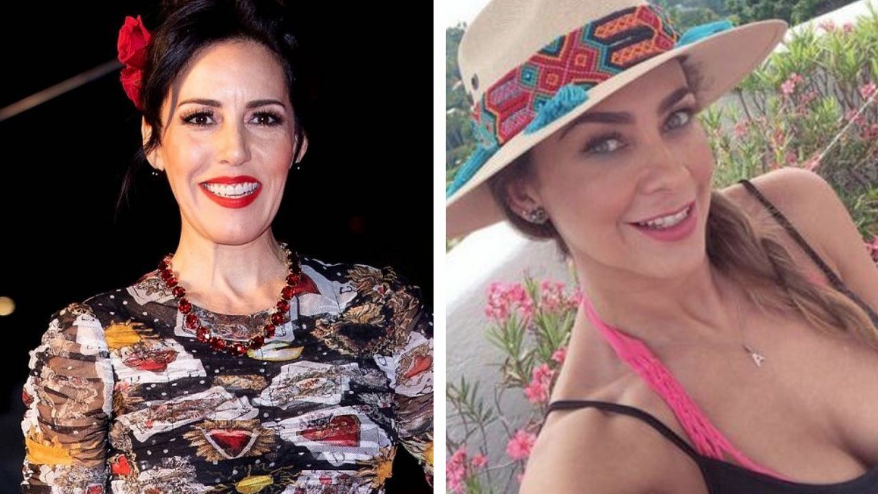 ¡Agárrate Luis Miguel! Salas y Aracely Arámbula se unen ¿para demandarlo?