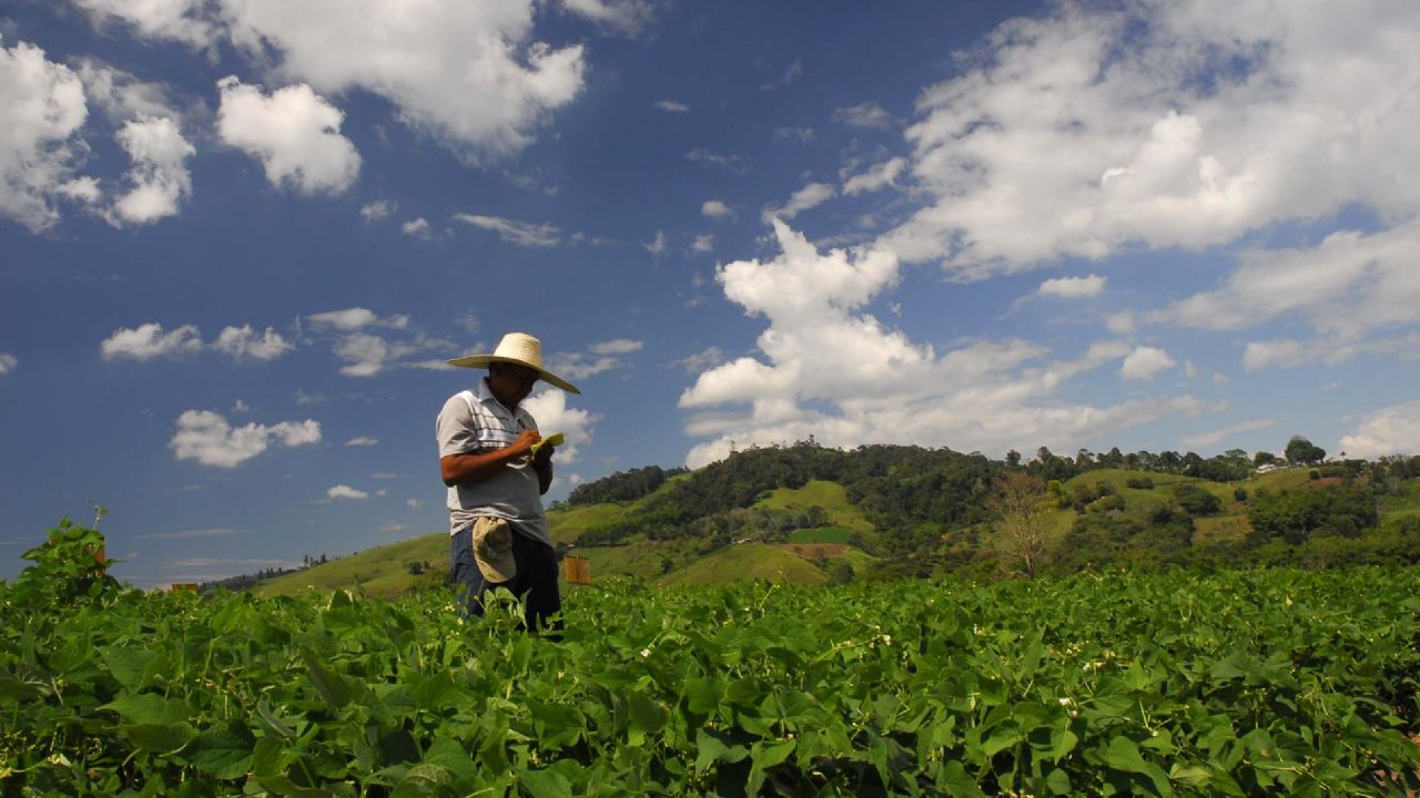 Sector agropecuario de Tamaulipas en incertidumbre por falta de apoyos