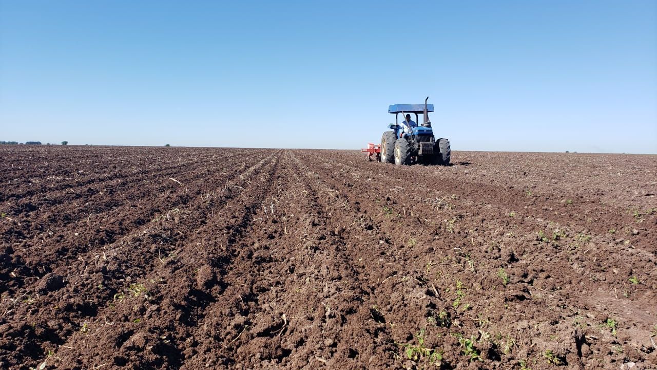 Valle del Yaqui, a tiempo de recuperar el camino de la agricultura sustentable