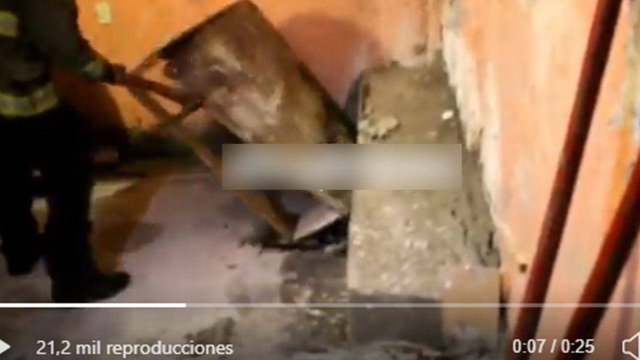 VIDEO: Hombre sepulta a un amigo y lo hace banca de su sala en Edomex