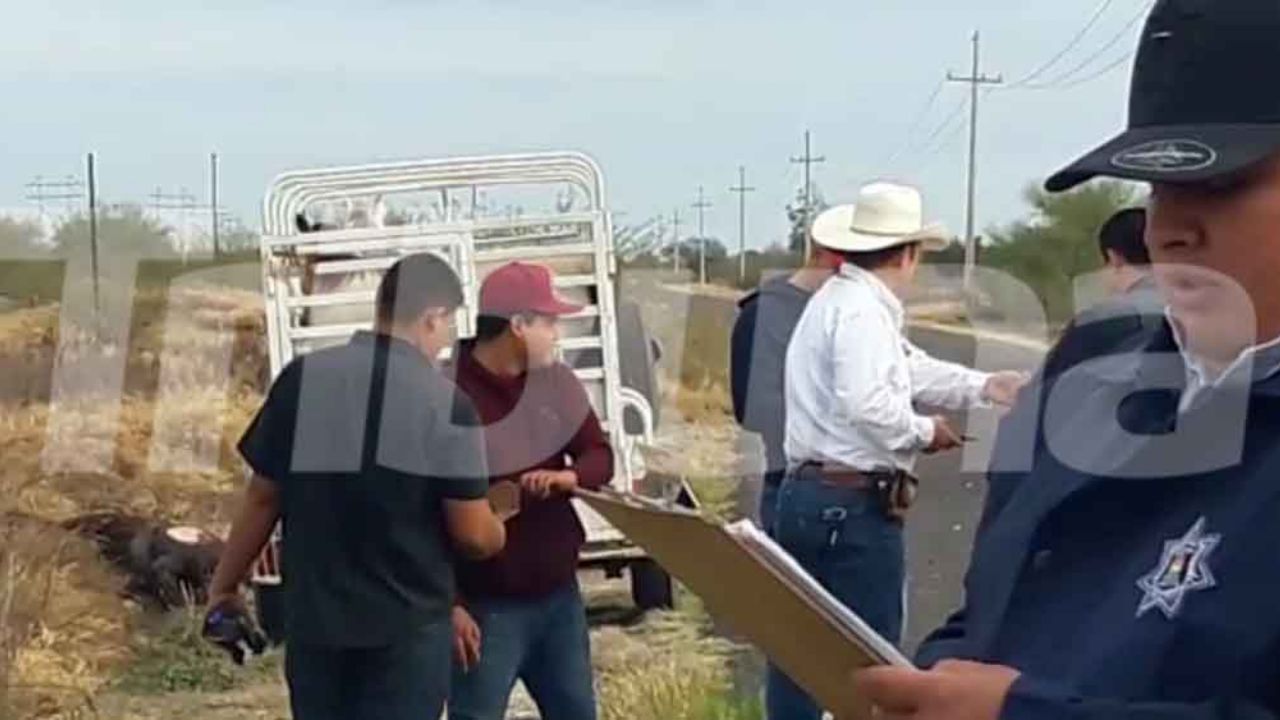 Lesionados del accidente vial donde murieron 3 caballos son atendidos