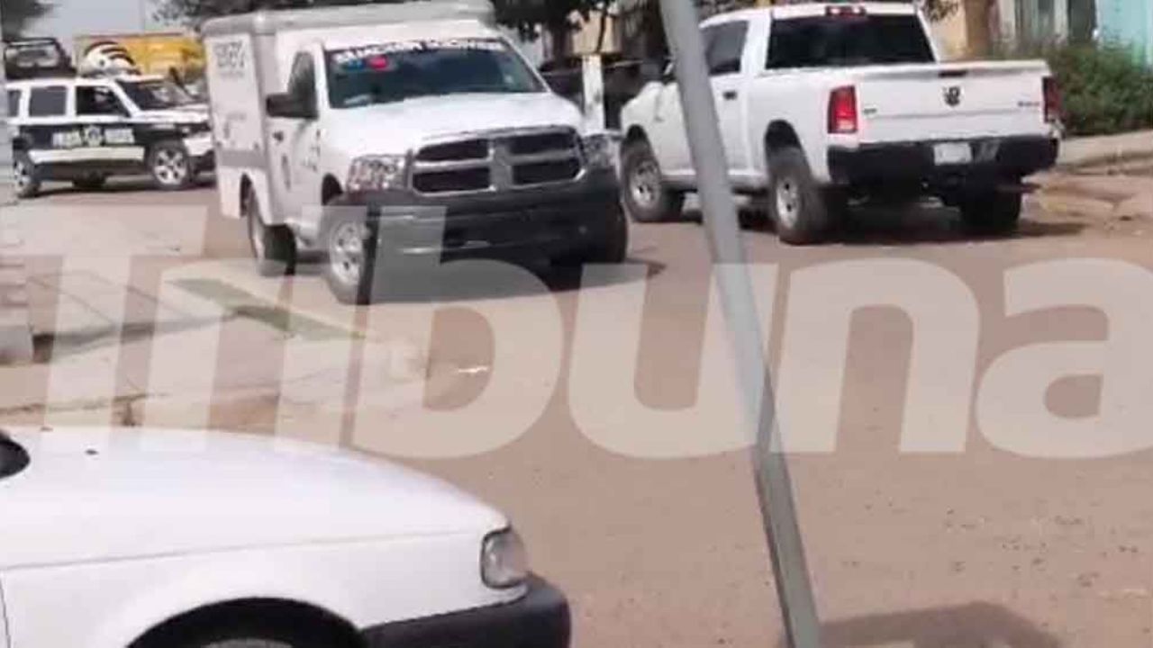 Reporte de ‘embolsado’ en estado de descomposición desata movilización