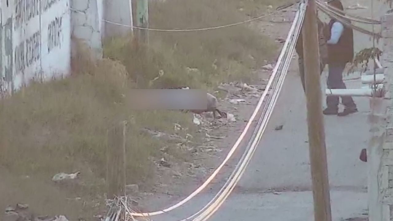 Acribillan a tiros a 2 mujeres y las abandonan semidesnudas en Edomex