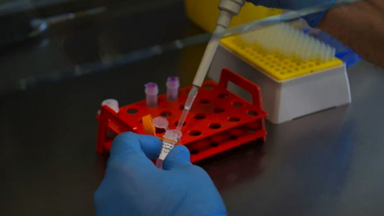 Coronavirus: Italia confirma la séptima muerte de un paciente de Covid-19