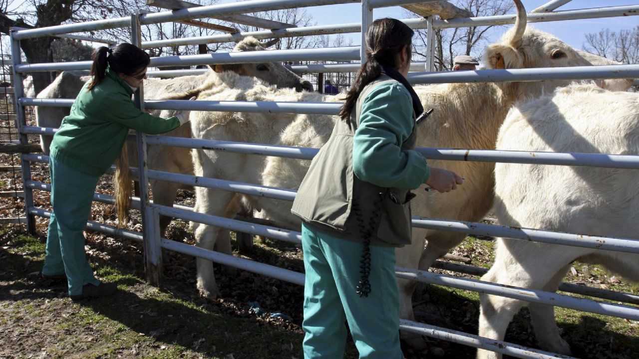 Sader y la UNAM se unen para mejorar la sanidad agropecuaria en México