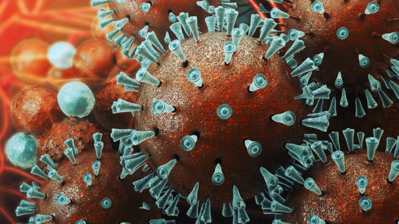 Coronavirus en Sudamérica: Argentina registra su primer caso de Covid-19