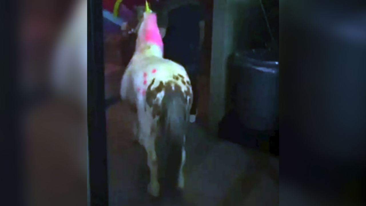 Clausuran bar de Torreón; usaban un ‘unicornio’ como atracción principal