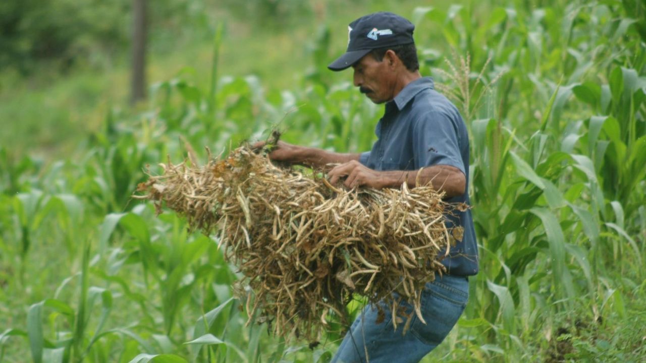 Sagdr define los apoyos para los productores agropecuarios de Durango