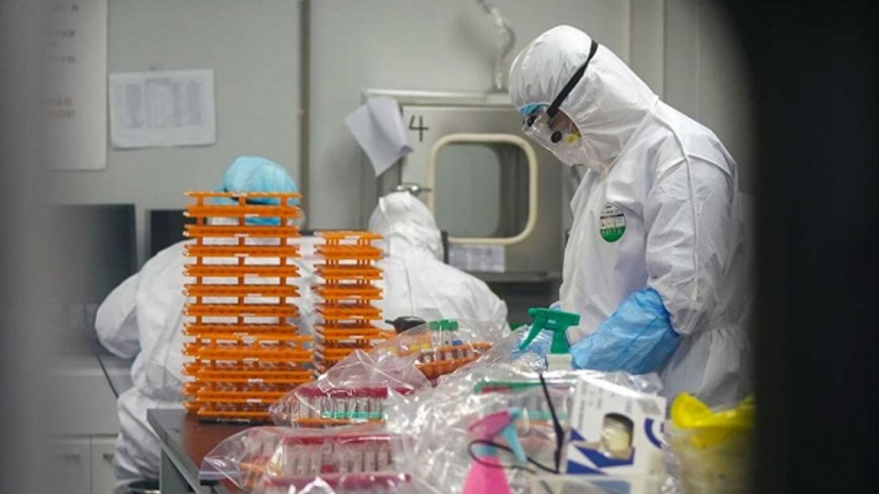 Investigadores chinos identifican dos tipos de coronavirus Covid-19