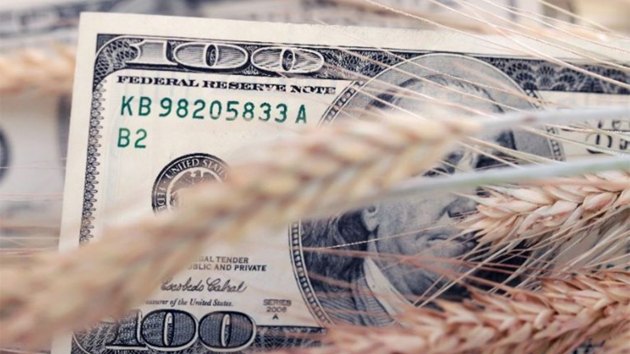 Dólar, un factor influyente en la comercialización agrícola de Sonora
