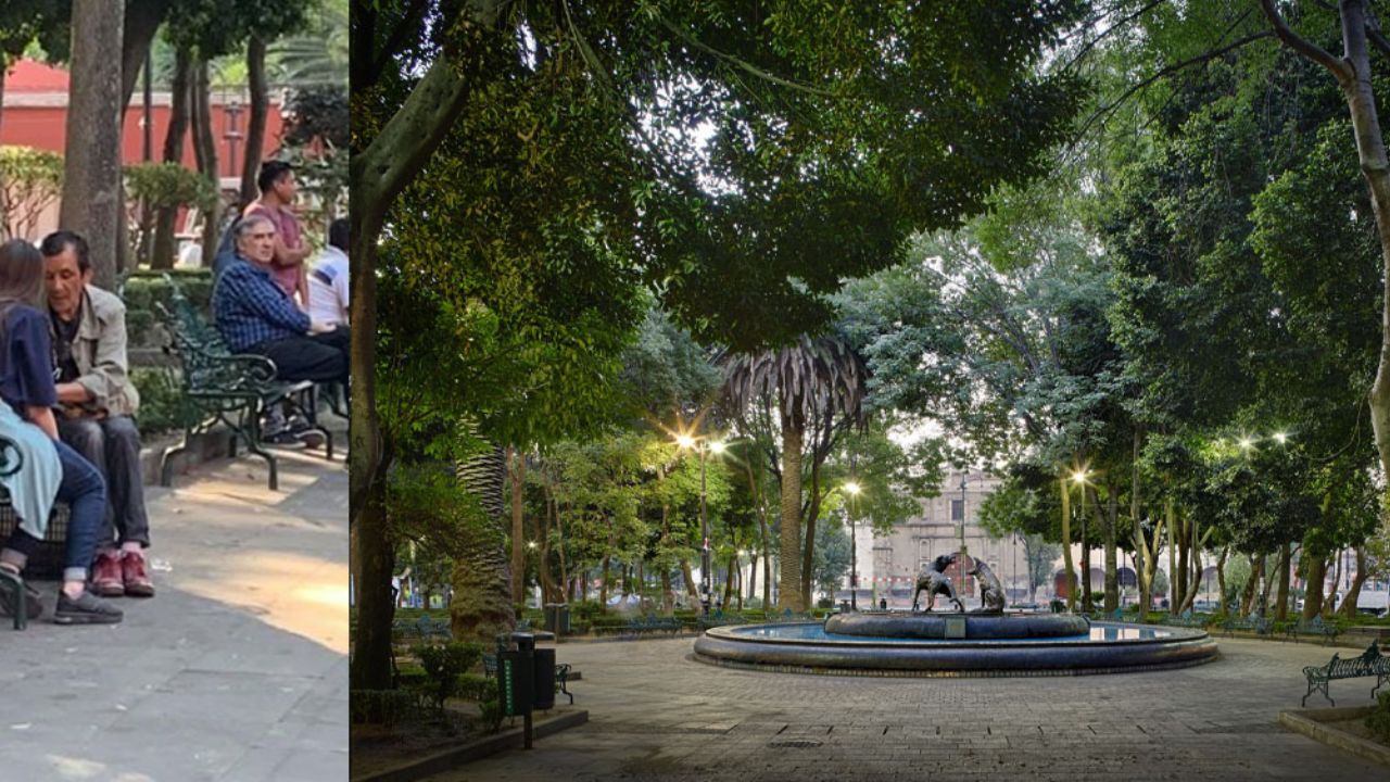 Supuesto adivino droga a perrito para pedir limosna en parque de CDMX