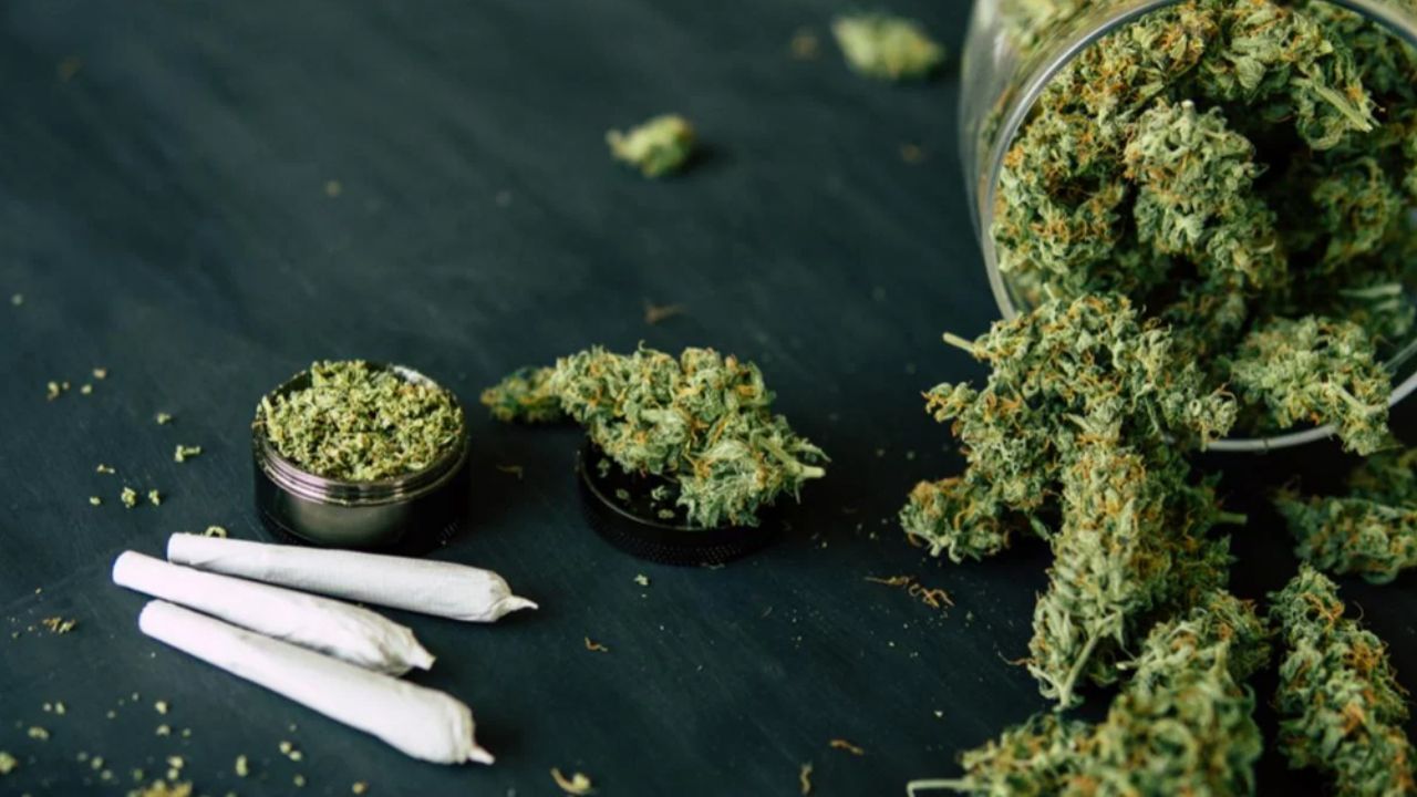 Uso recreativo de la marihuana podría ser legal; aprueban proyecto de ley