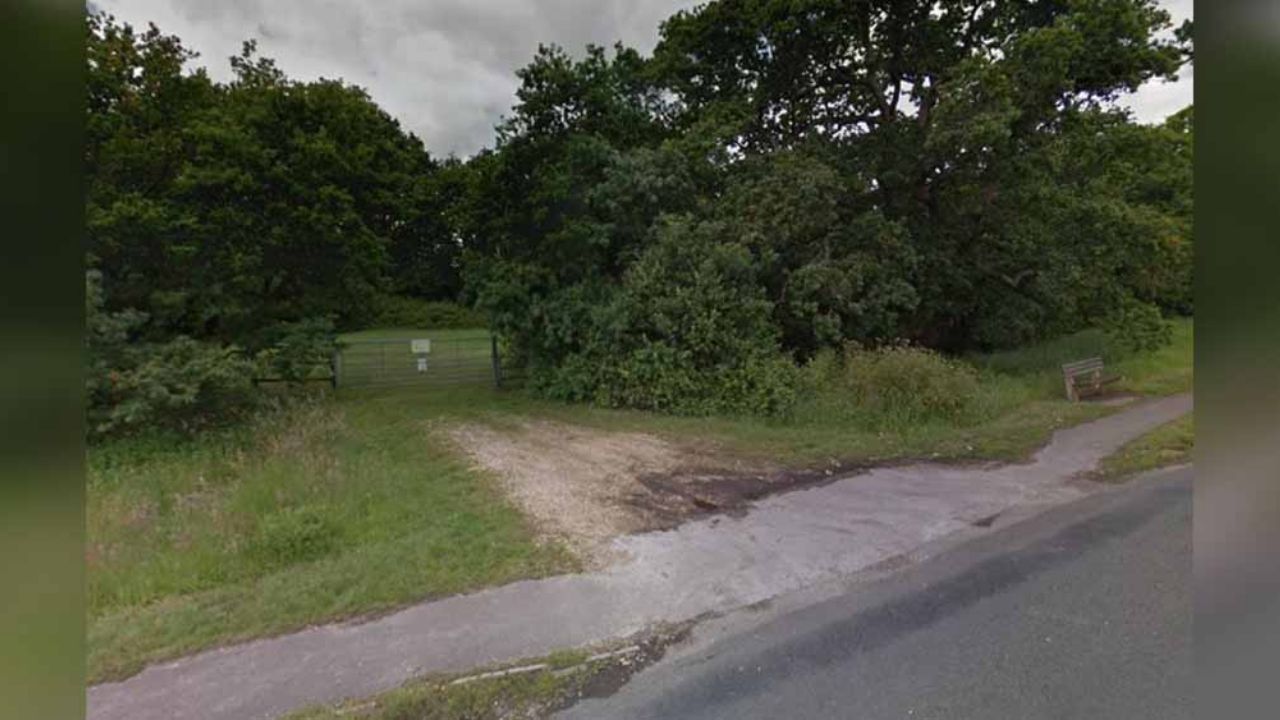 Bebé es hallado muerto en bosque; la mamá desapareció tras dar a luz