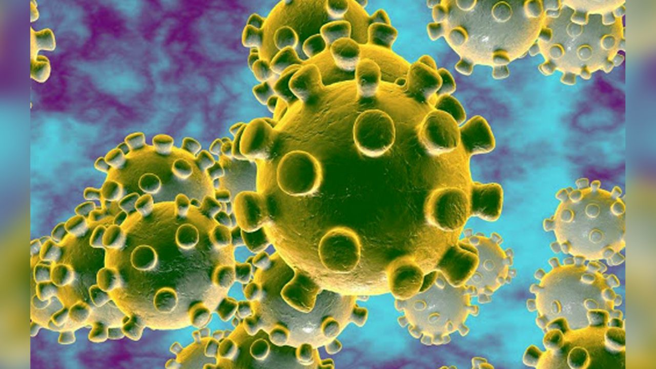OMS confirma 95 mil 333 casos de coronavirus alrededor del mundo
