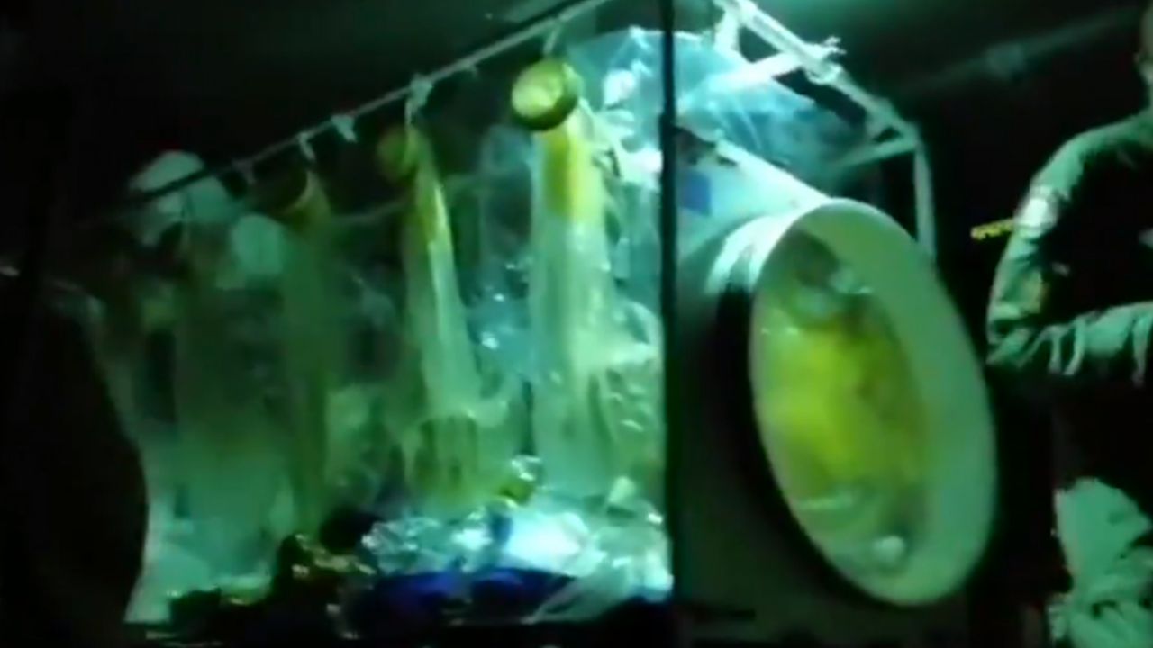 VIDEO: Militares italianos transportan a enfermo con coronavirus