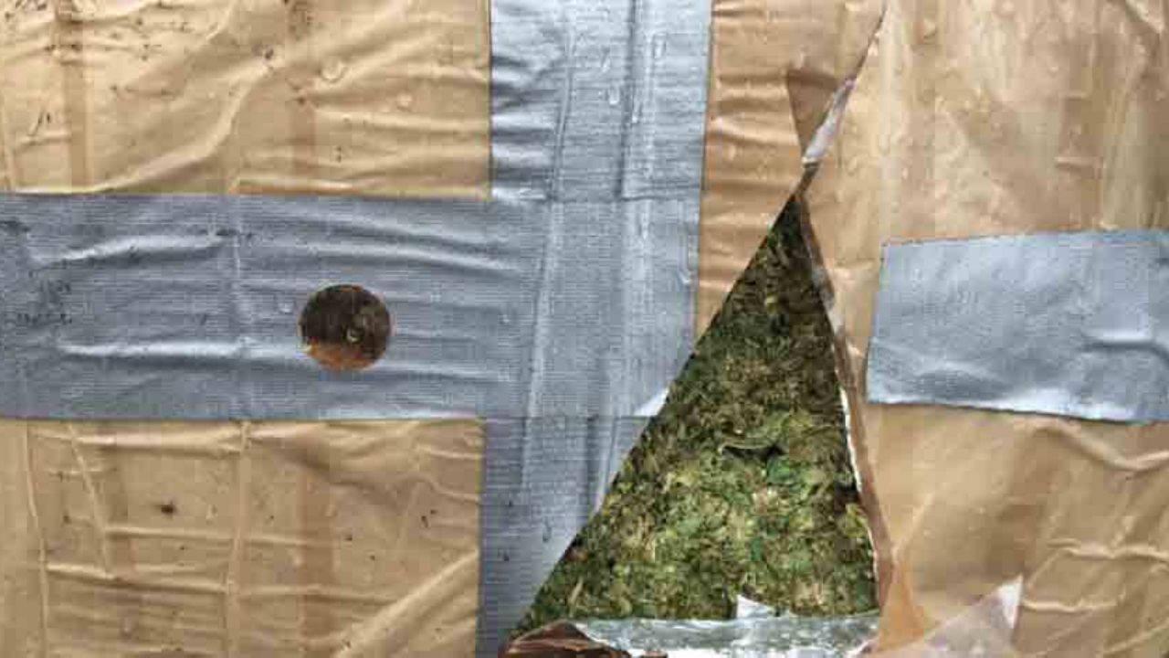 Militares aseguran más de 15 toneladas de droga en retén de Sonora