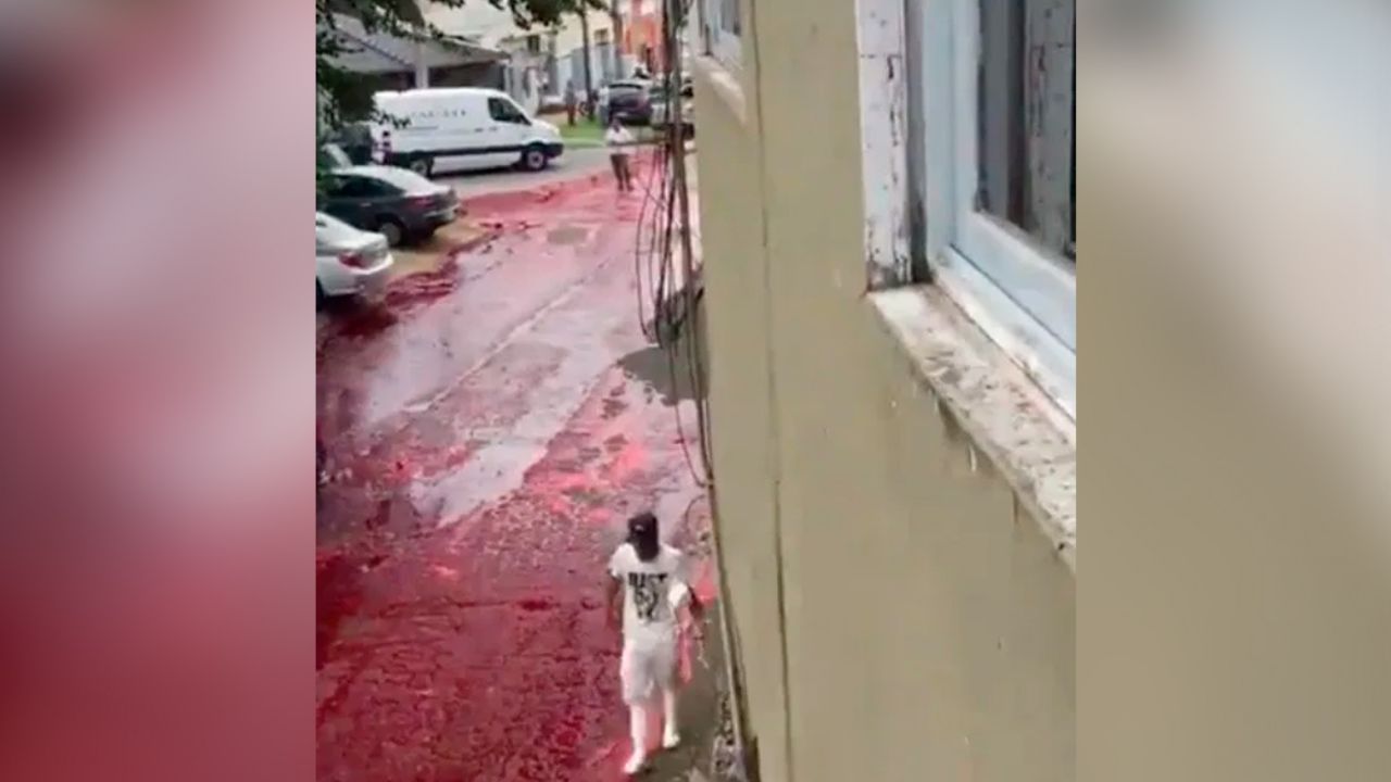 Vecindario argentino se cubre de sangre animal por explosión de tanque