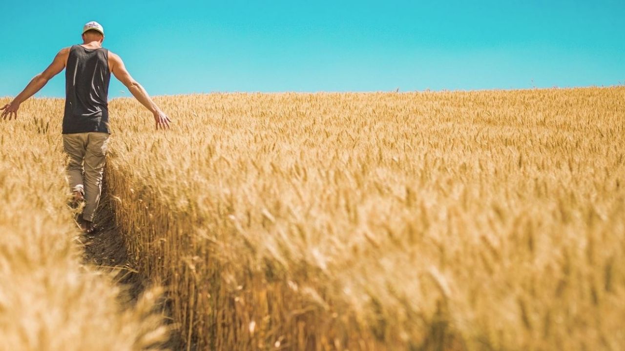 Jóvenes sonorenses han cambiado el campo por el sector industrial