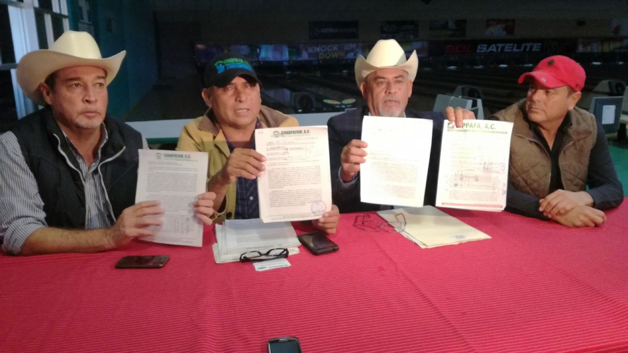 Odepafa pide a autoridades facilidades de tránsito para autos extranjeros